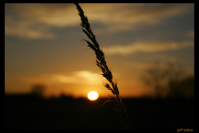 sunset.jpg