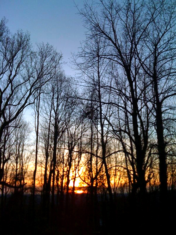 Sunset.jpg