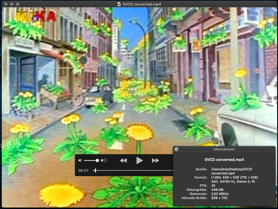 SVCD converted mp4.png