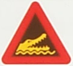 swc-icon.JPG