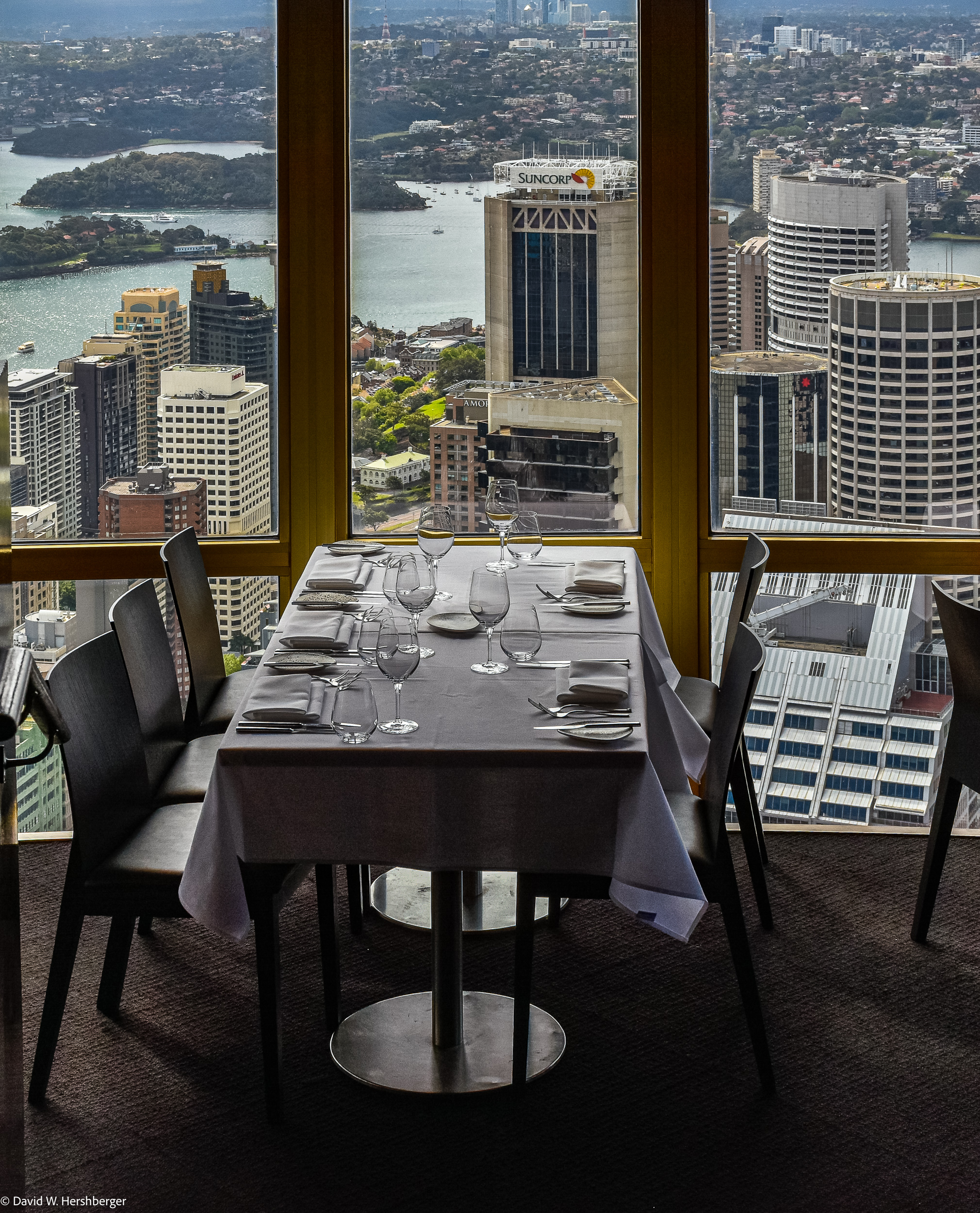 Sydney Tower.jpg