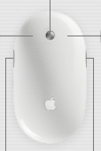 SysPrefsMightyMouse.jpg