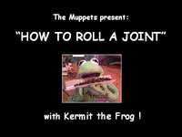 t_fkermit1.jpg