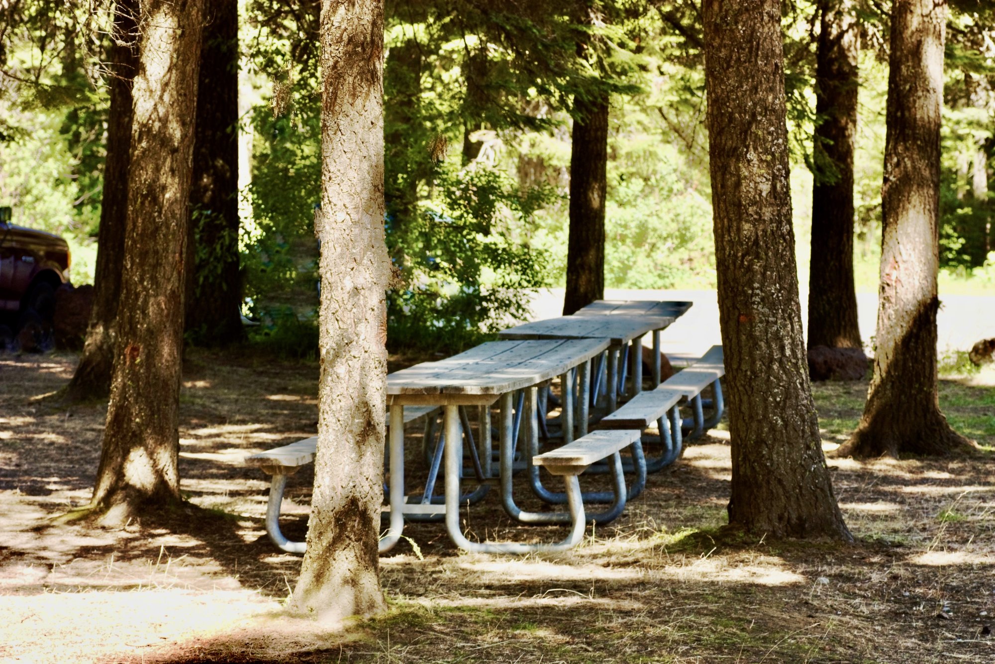 table - 1.jpeg