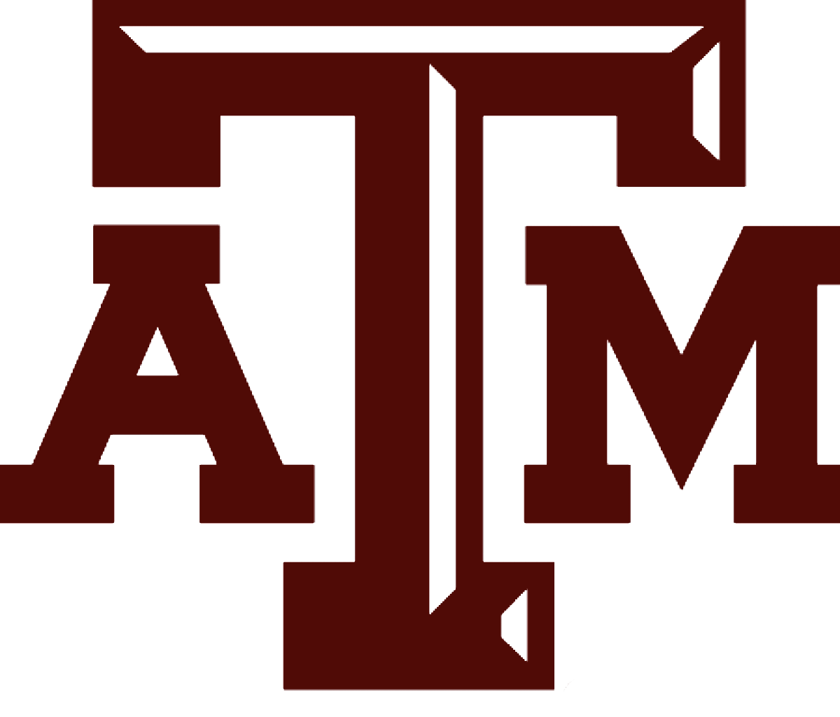 TAM 02.png