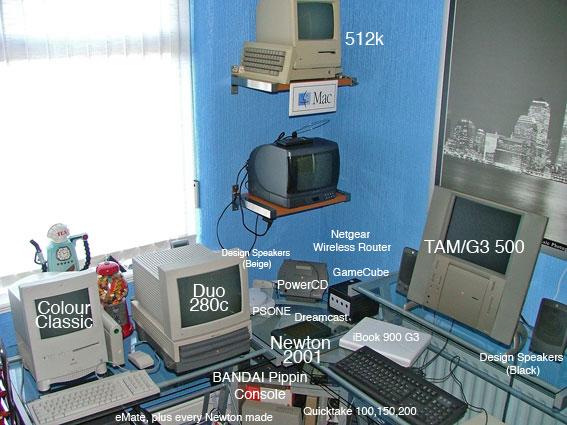 TAMWeb.jpg