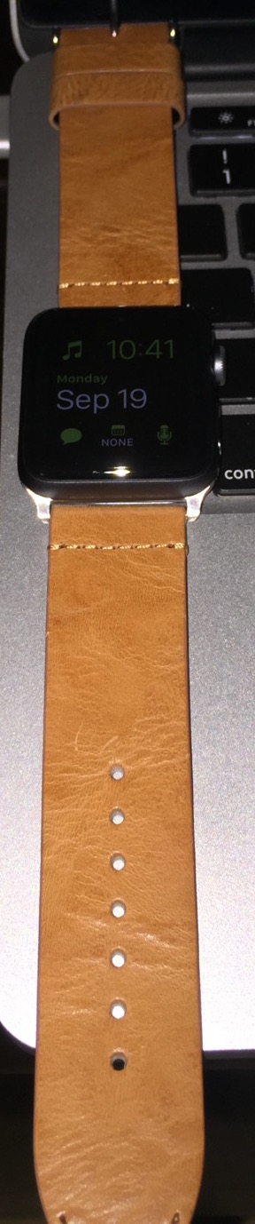 tan leather1.JPG