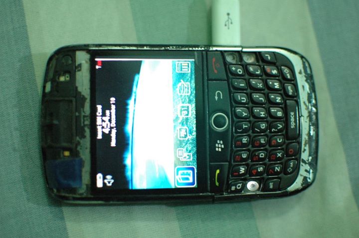 tapeberry1.jpg