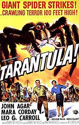 tarantula.jpg