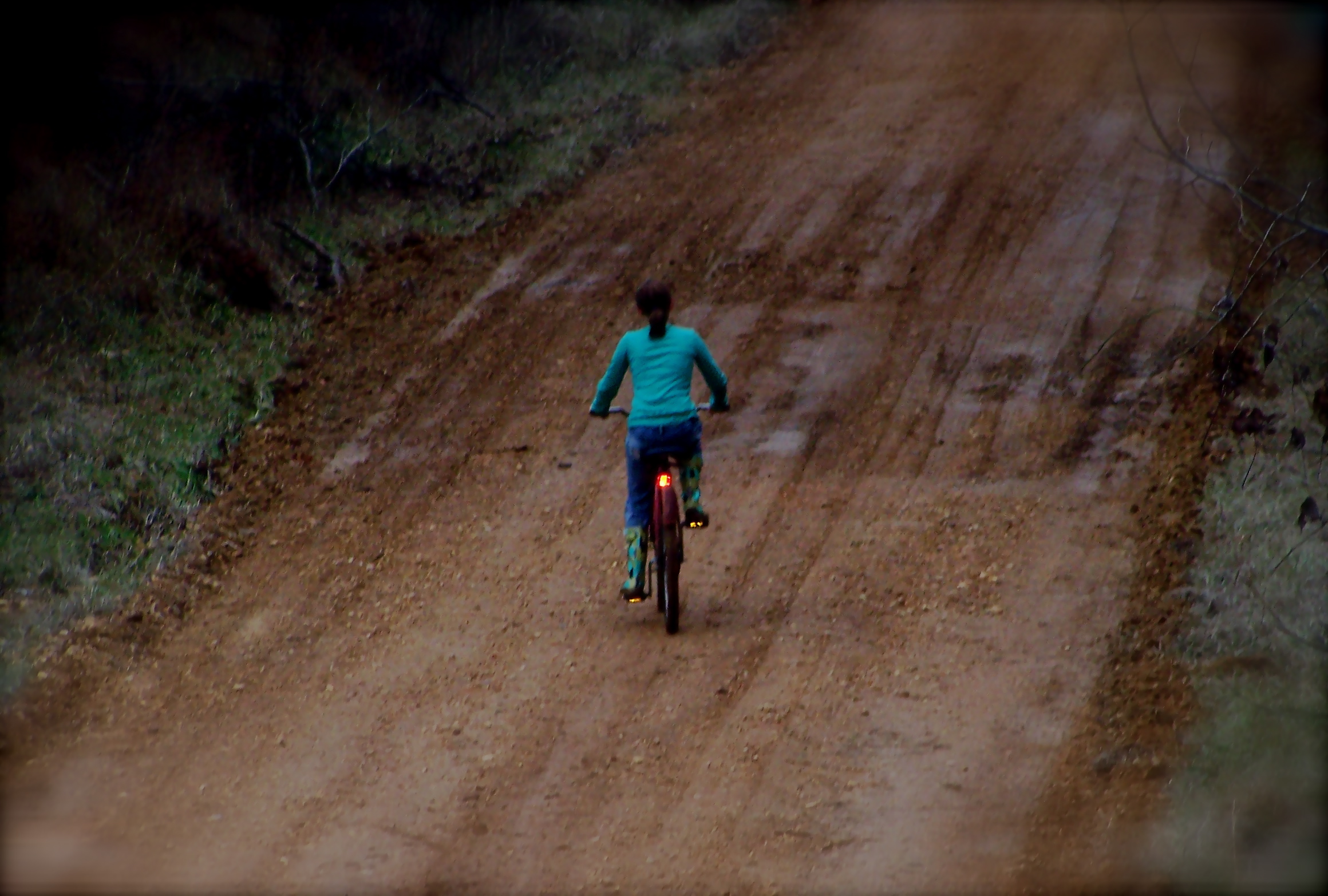 Tarver, Williams 2008 Christmas 082.jpg