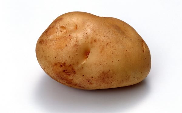 tater.jpeg