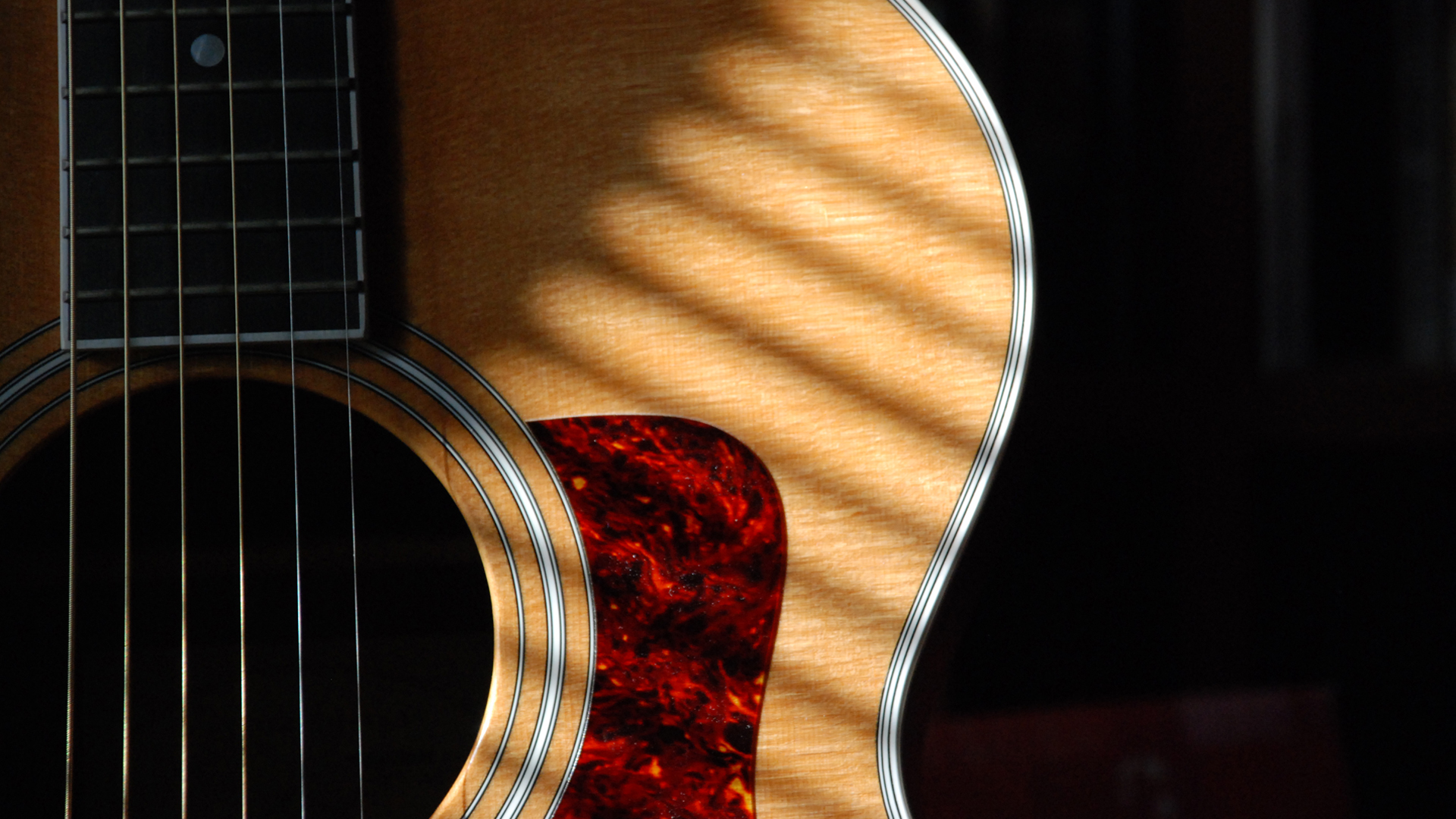Taylor415_acoustic_1080.jpg