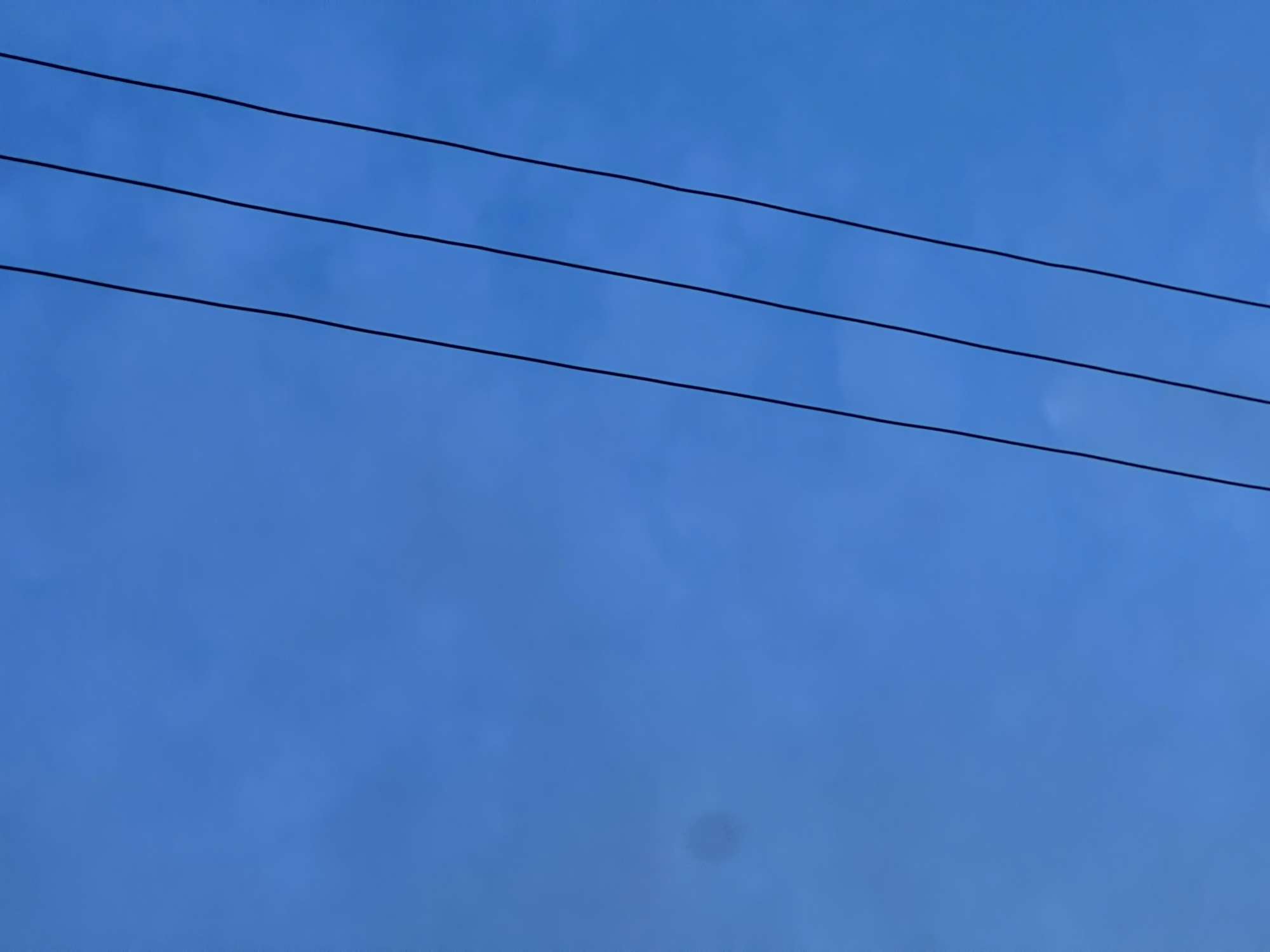 tempImageLWVpxQ.png