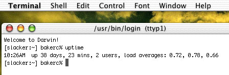 terminal_uptime.jpg