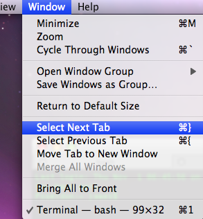 terminaltabs2.png