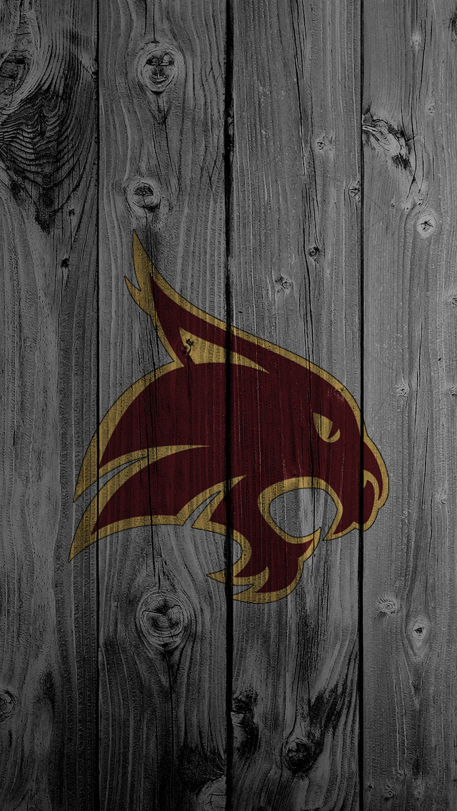 Texas State 01.jpg