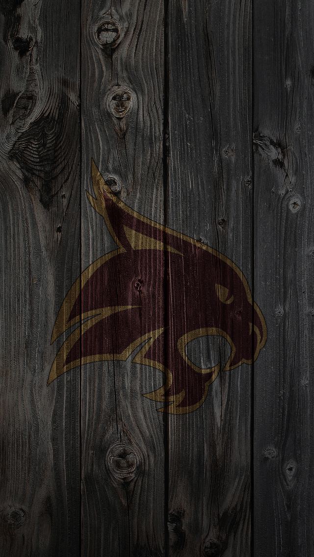Texas State 02.jpg