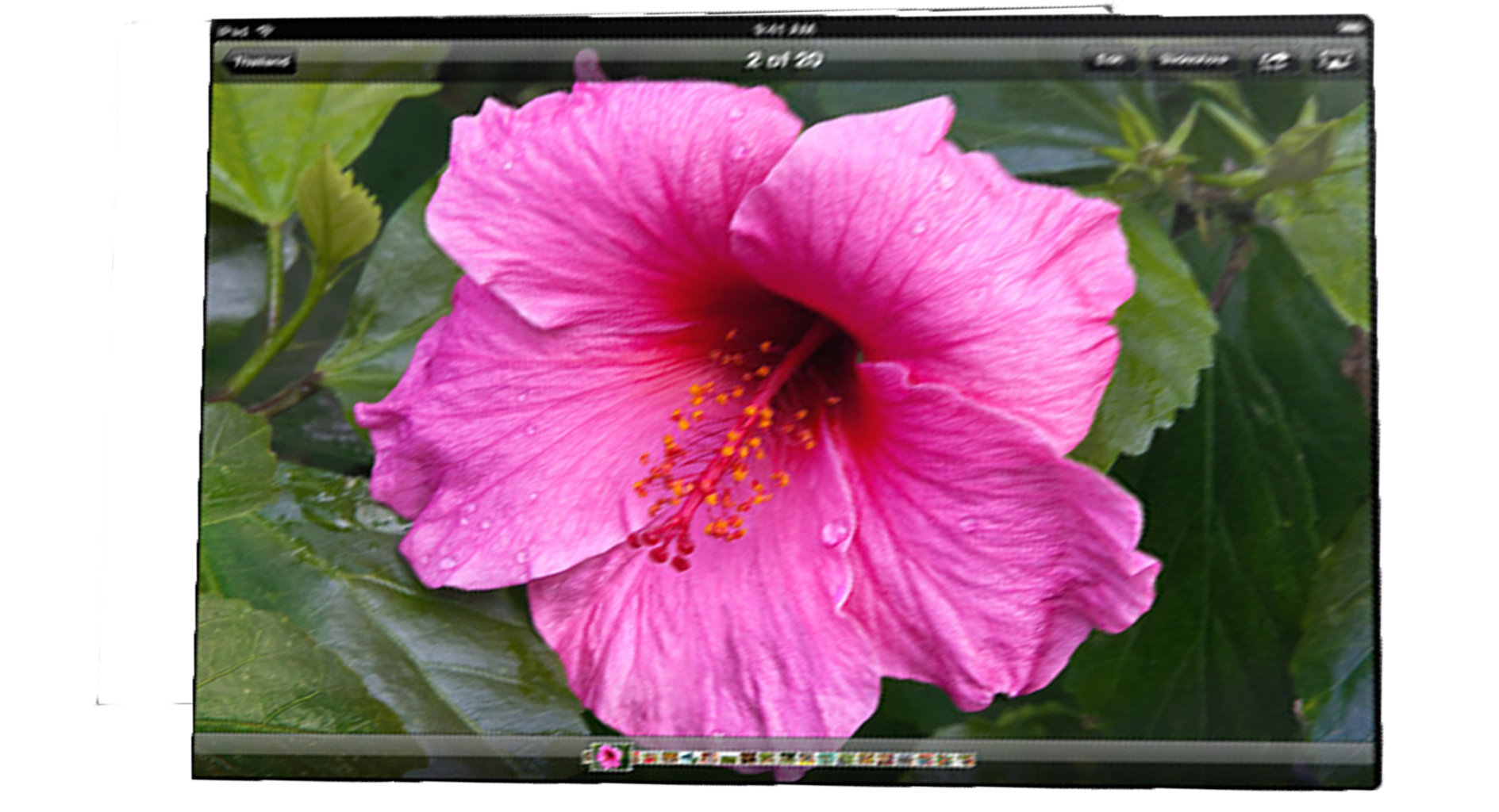 the-new-ipad.png