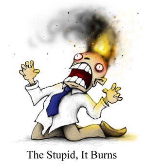 the stupid.jpeg