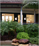thefalls_vert120104.jpg
