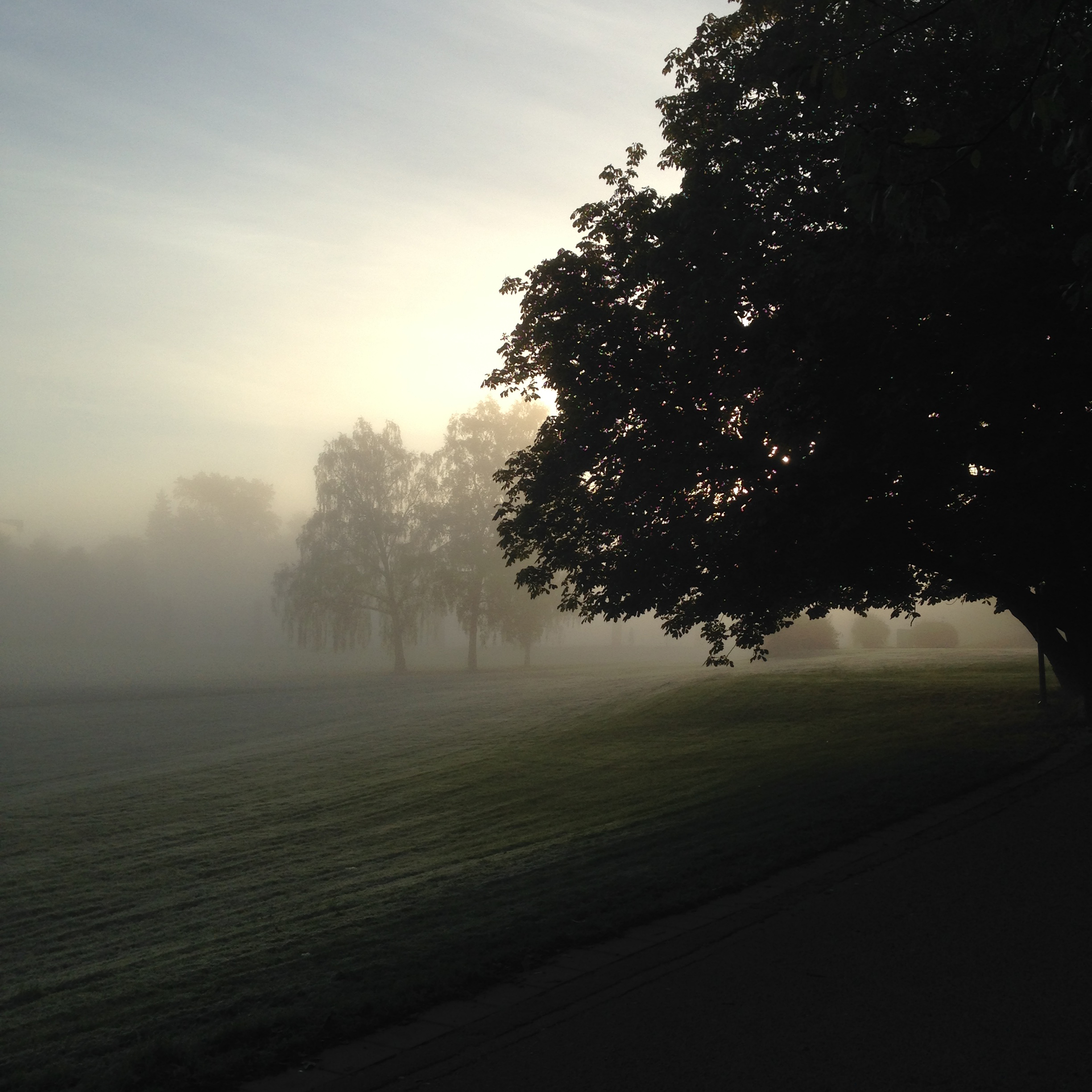 theFog.jpg