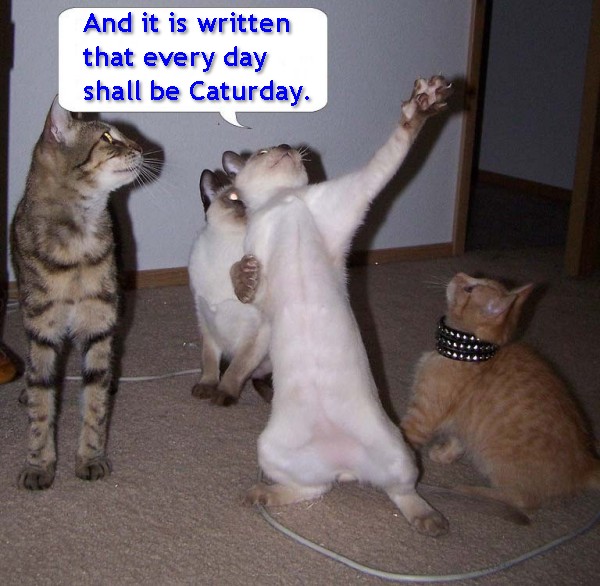 thegreatprophecyofcaturub5.jpg