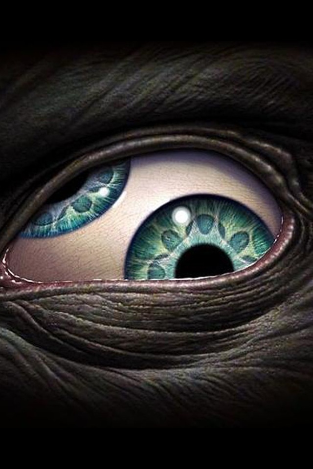 thirdeye.jpeg