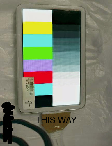 thisway.jpg
