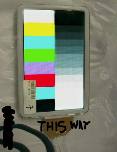thisway2.jpg