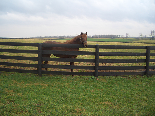 three chimneys farm.jpg