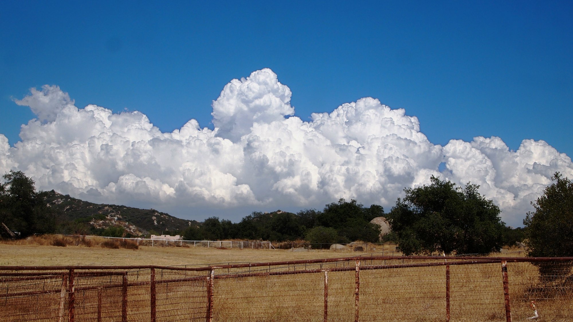 thunderhead at ranch 8.05.22 x.jpg