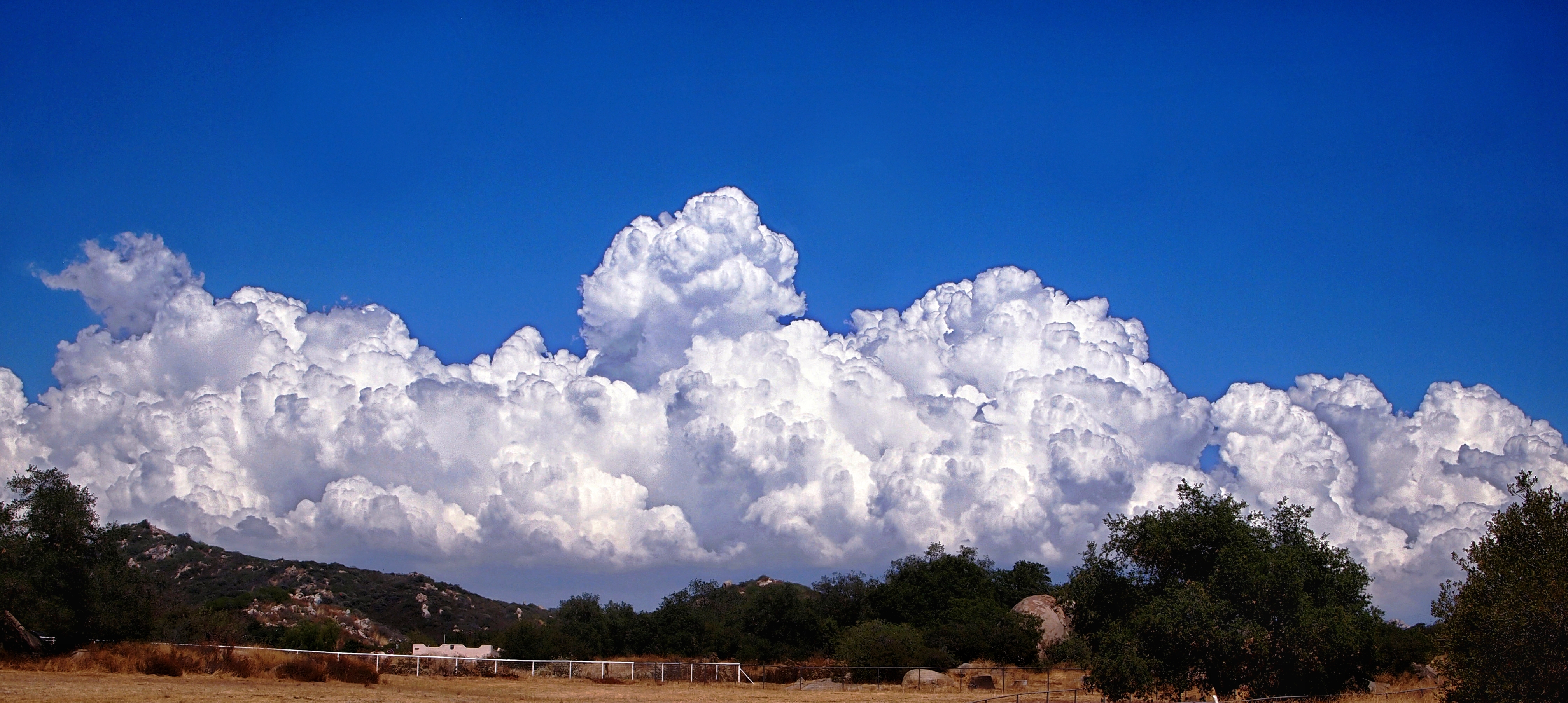 thunderhead at ranch 8.05.22 x2crop_edited.jpeg