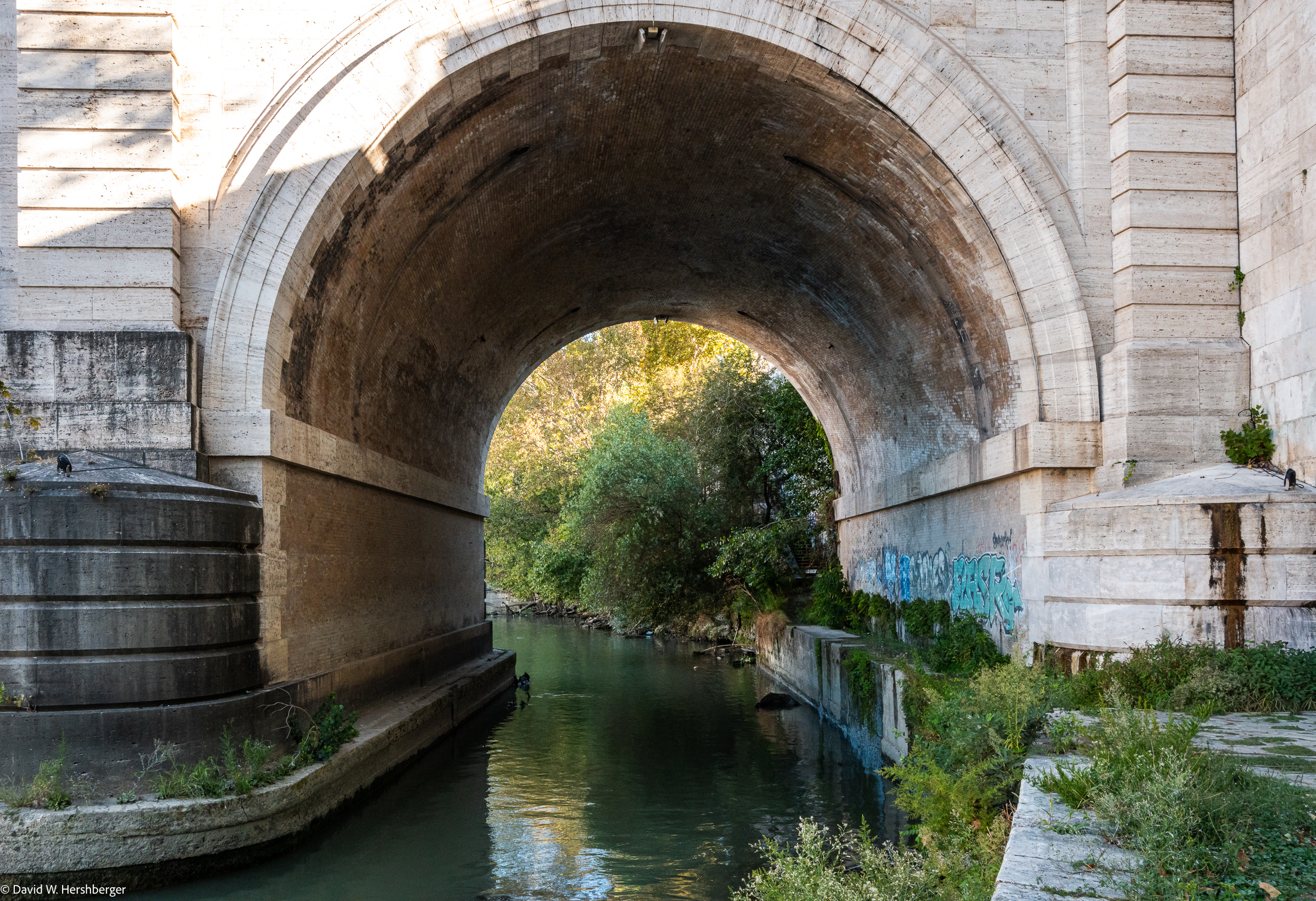 Tiber.jpg