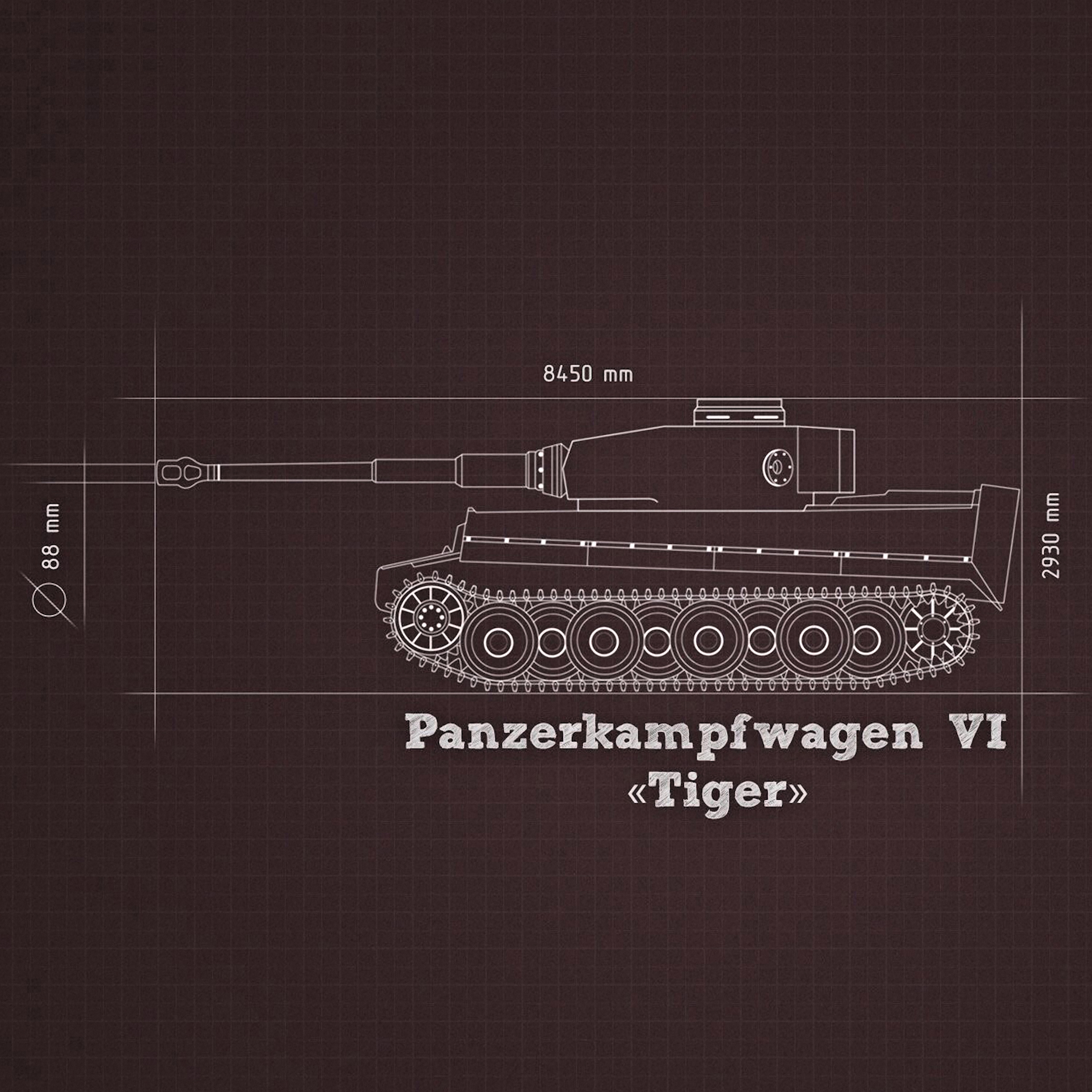 Tiger 2524.jpg