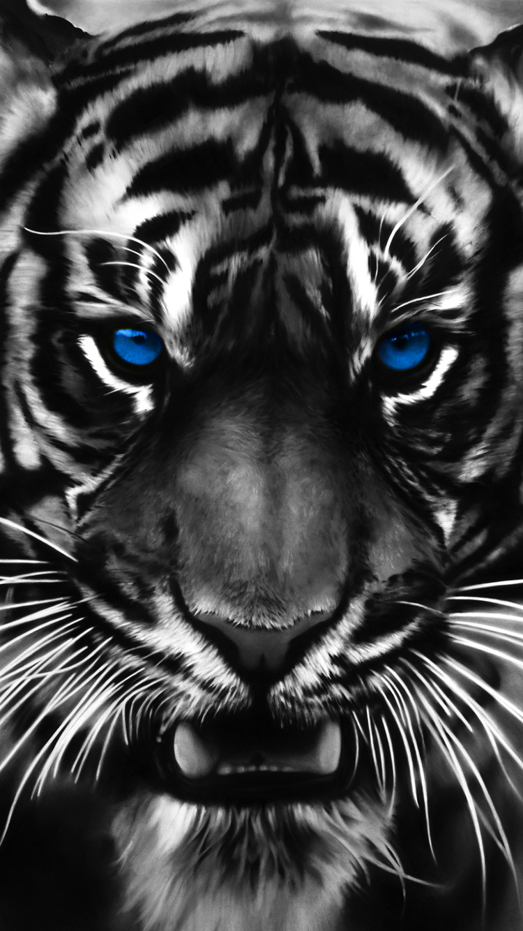 Tiger Eyes Blue.jpg