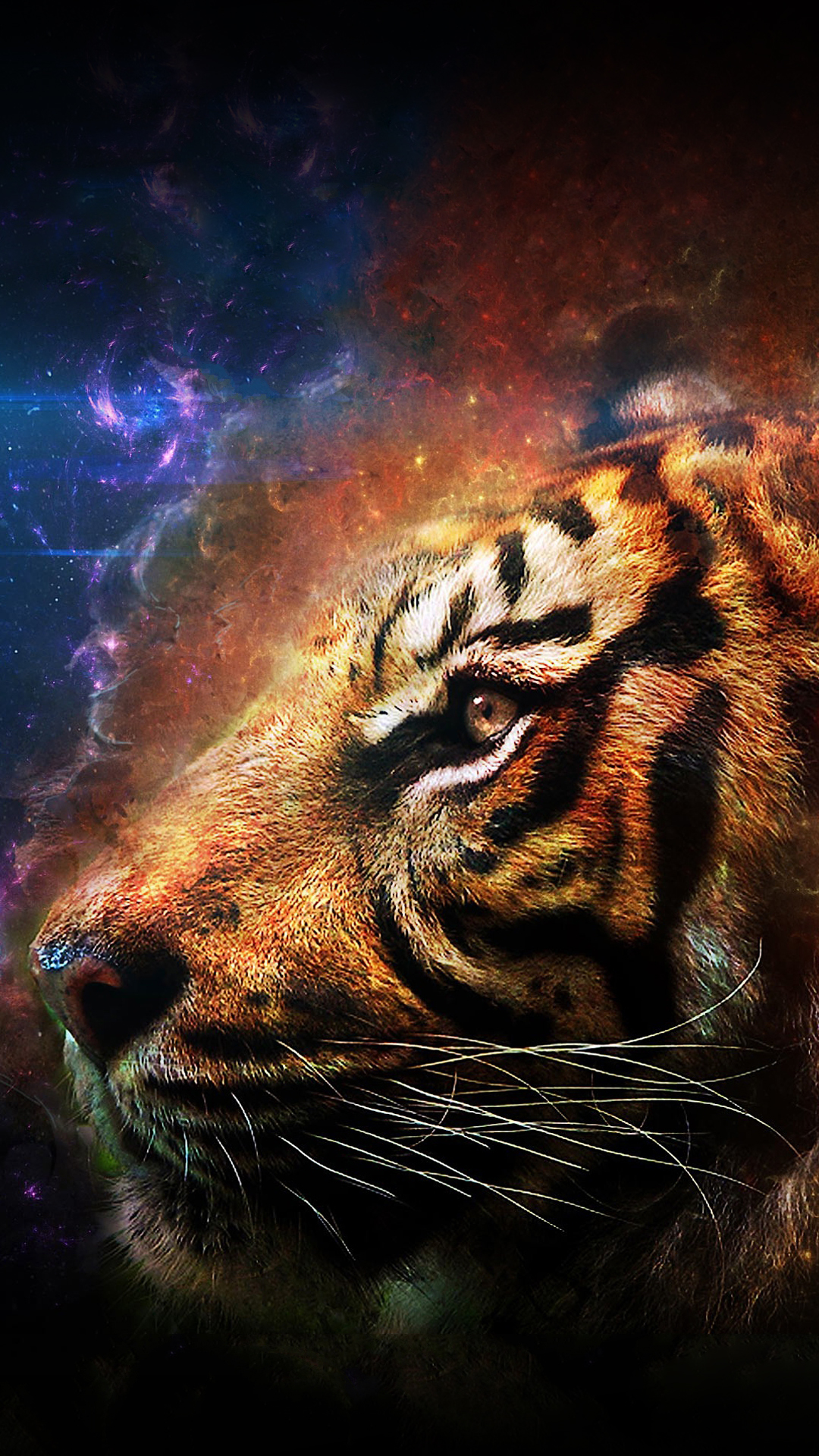Tiger.jpg