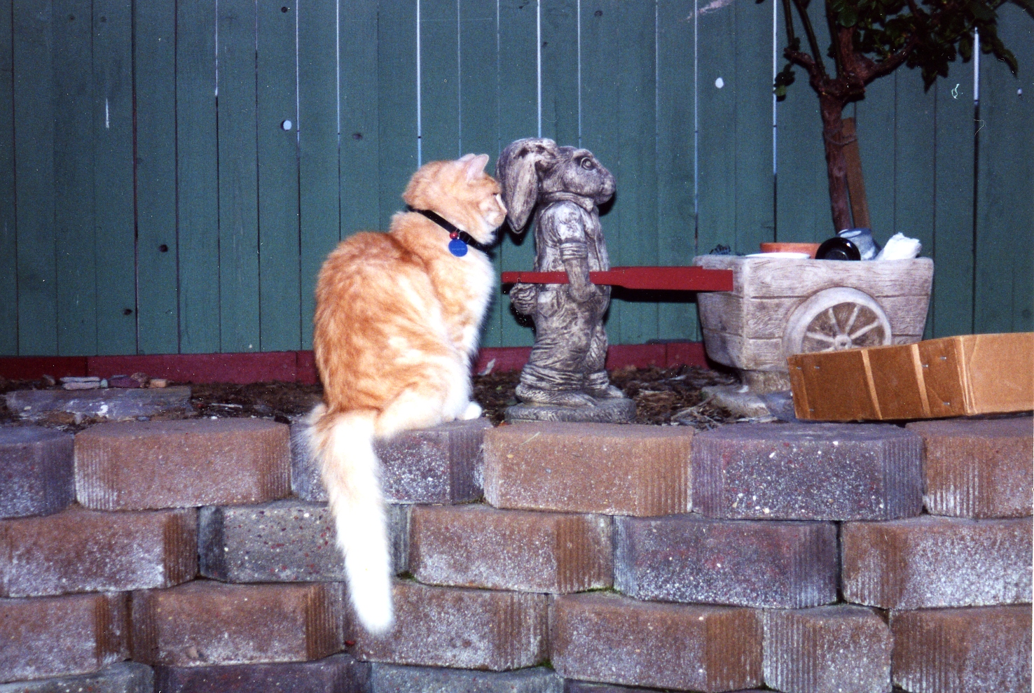 Tigger 001.jpg