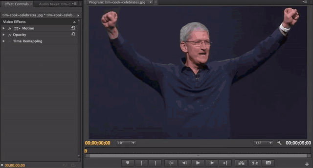 Tim Cook Party Chroma Key.gif