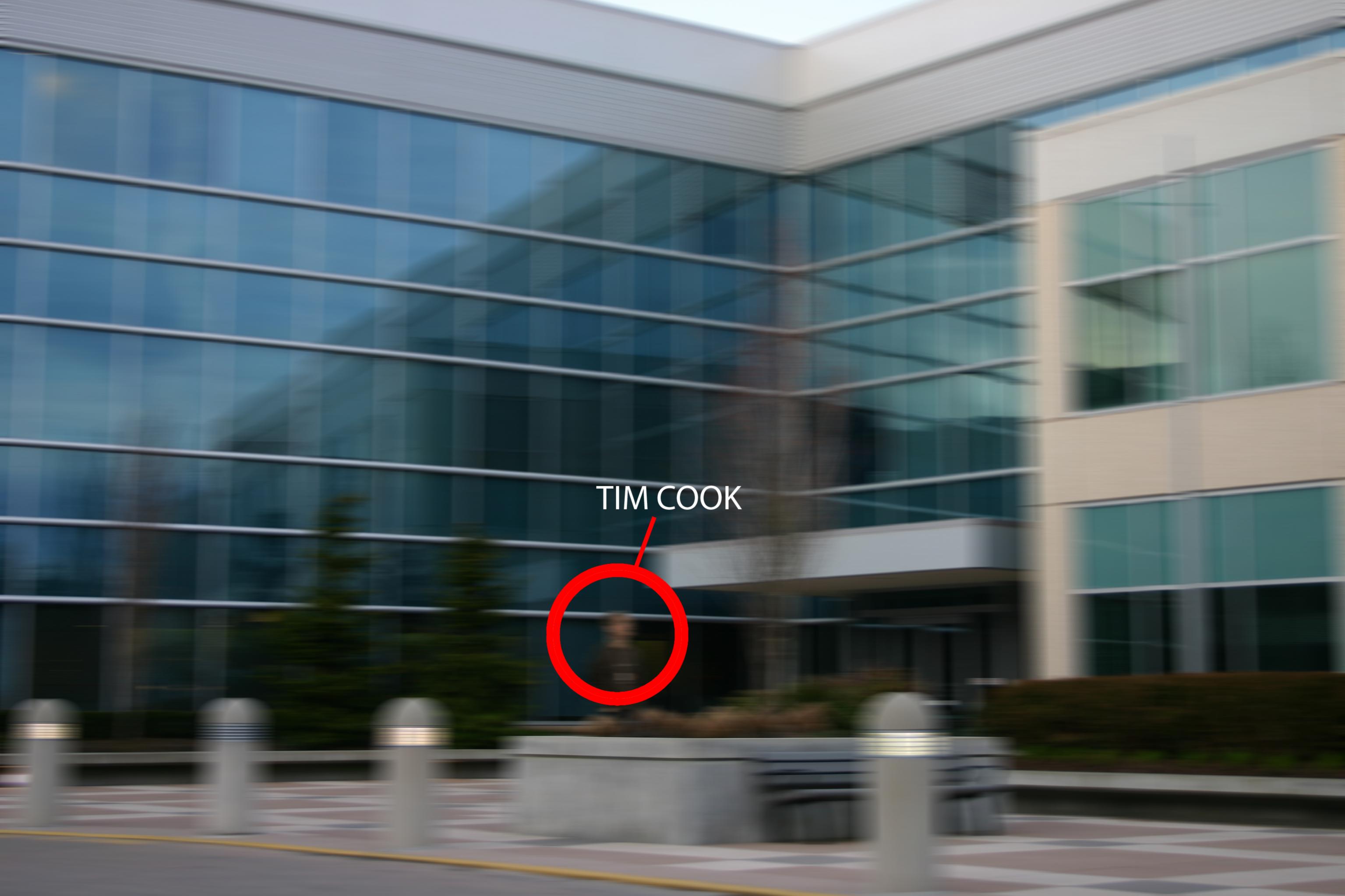 tim_cook_spotted.jpg