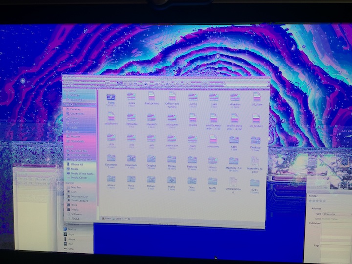 Time Machine Bug.jpg