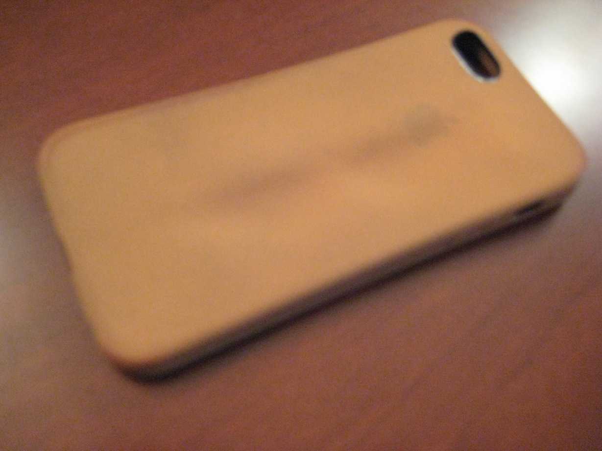 Toasted Case_5.jpeg