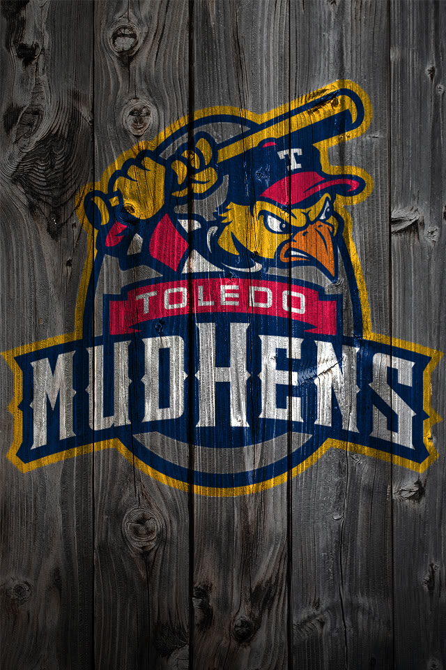 ToledoMudhensWood.png