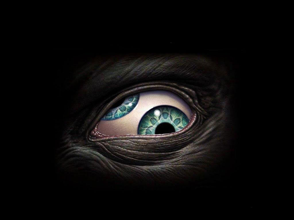 tool_wallpaper_1tool-bandde.jpg
