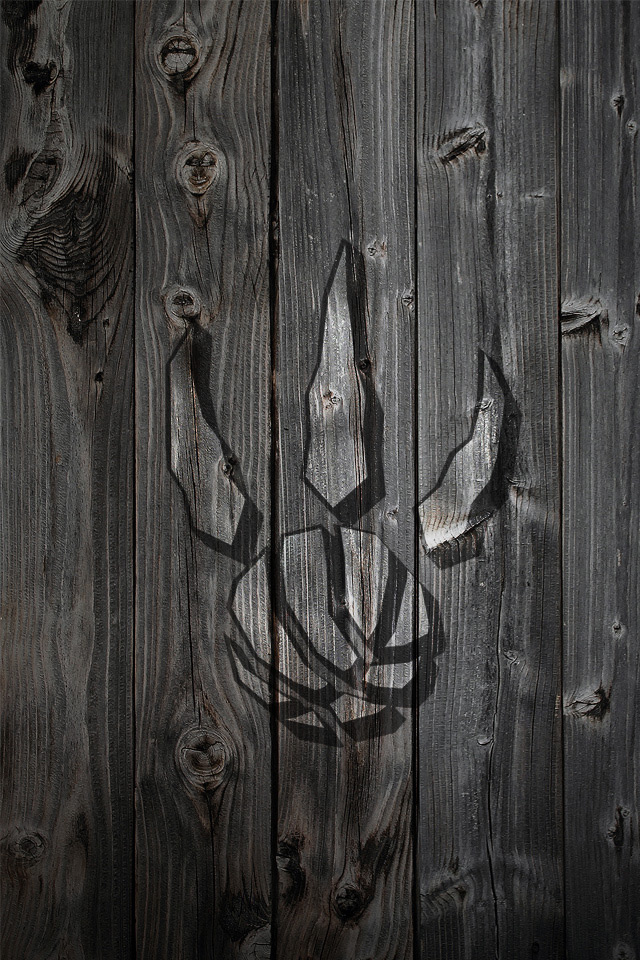 toronto_raptors_wood.jpg
