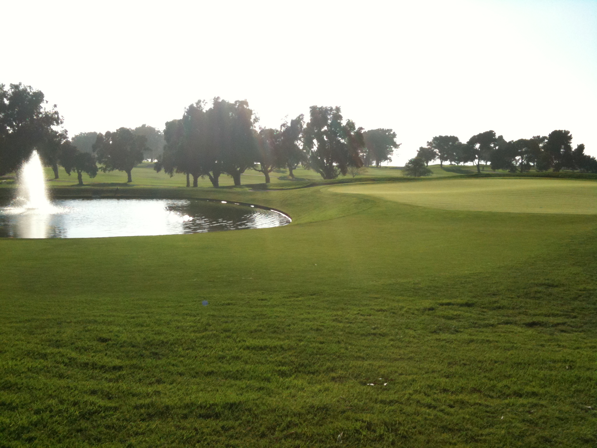 Torrey Pines (2).JPG