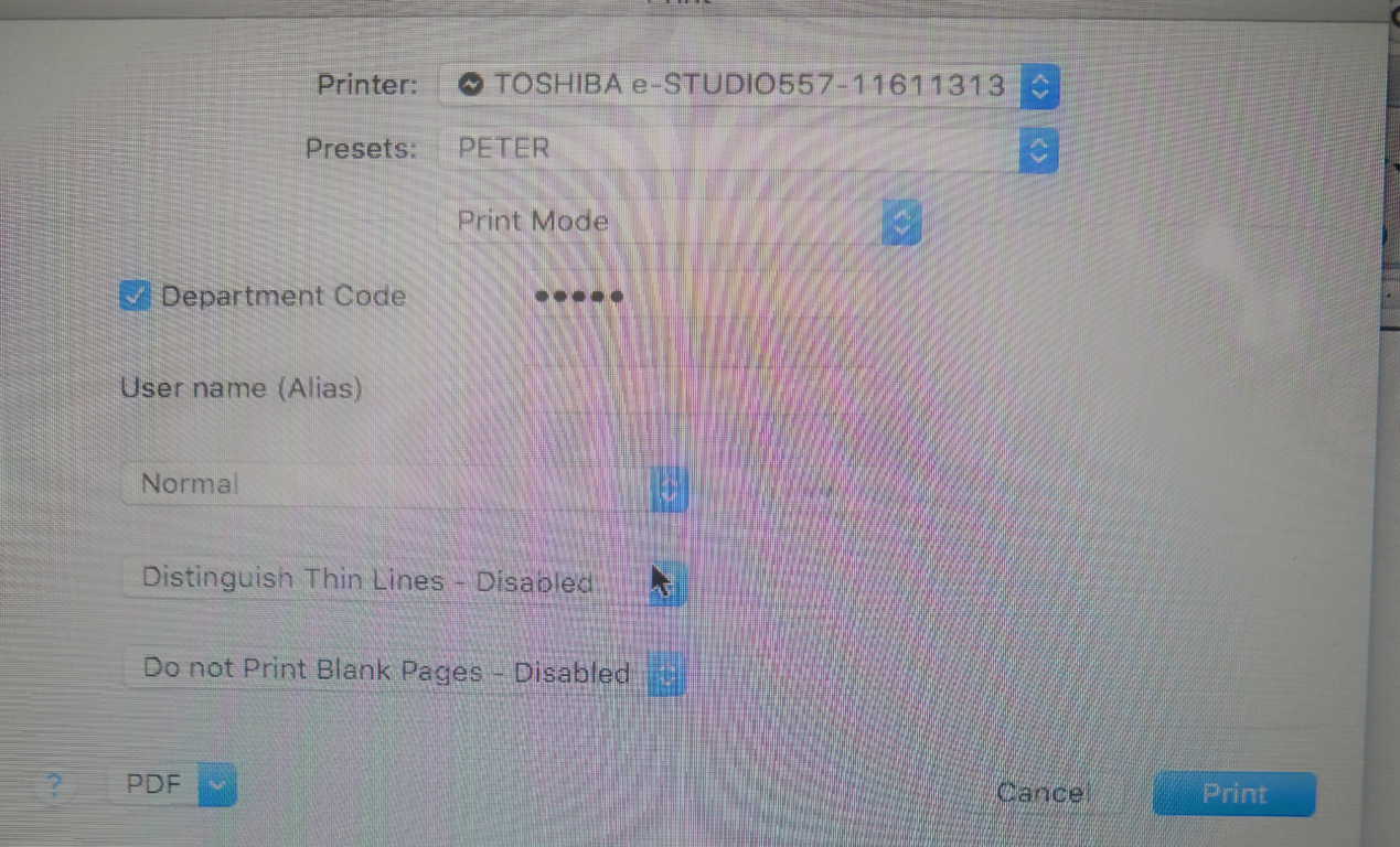 toshibasetting3 (Medium).png