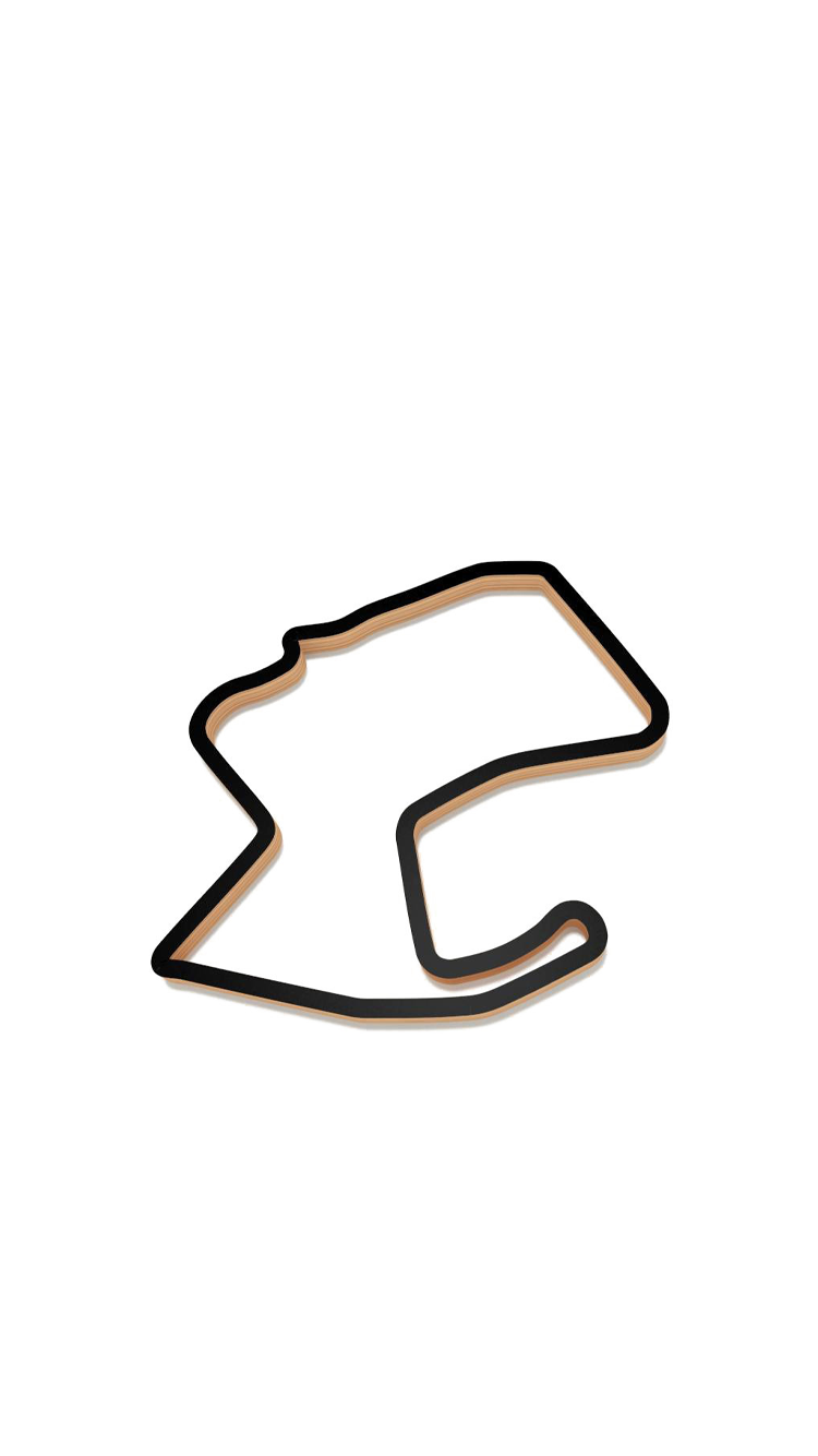 Track 09.png