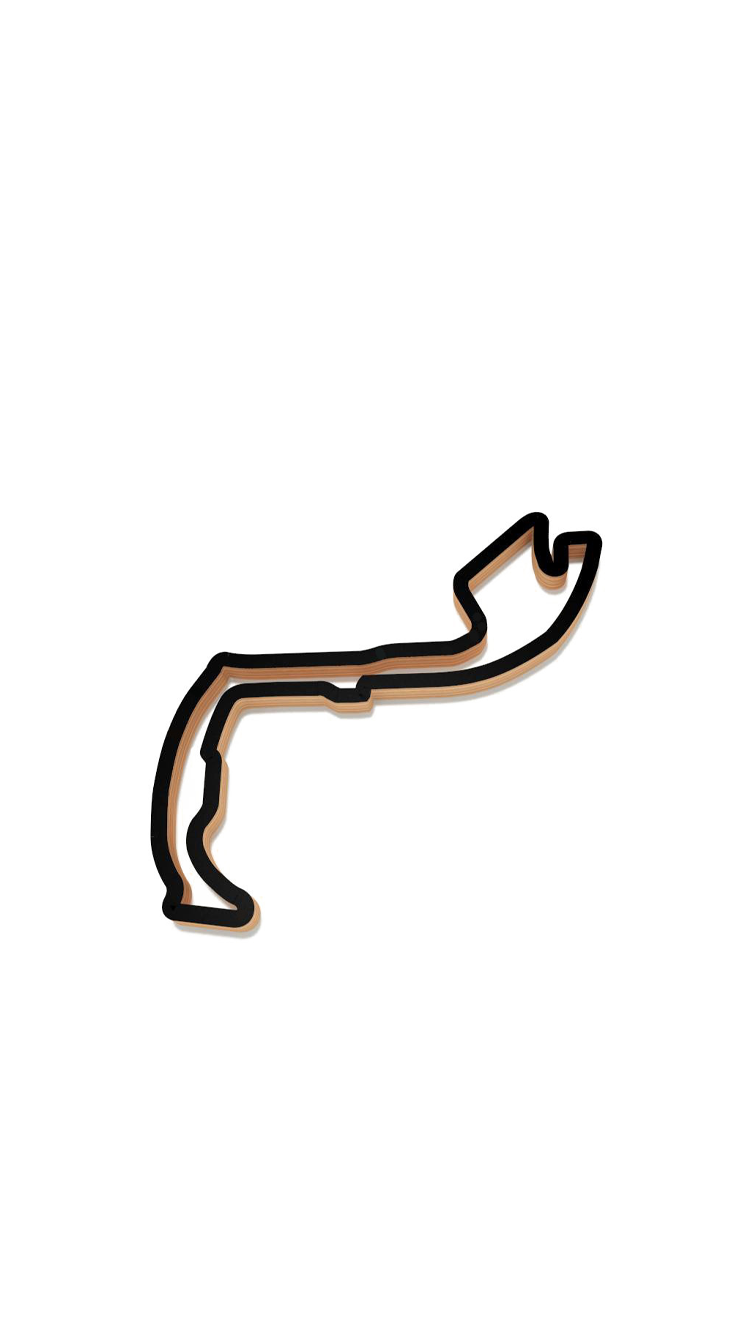 Track 11.png