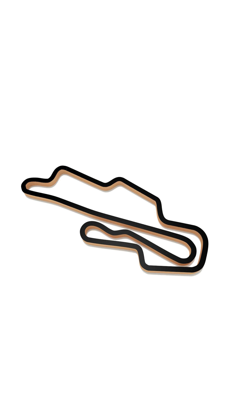 Track 13.png