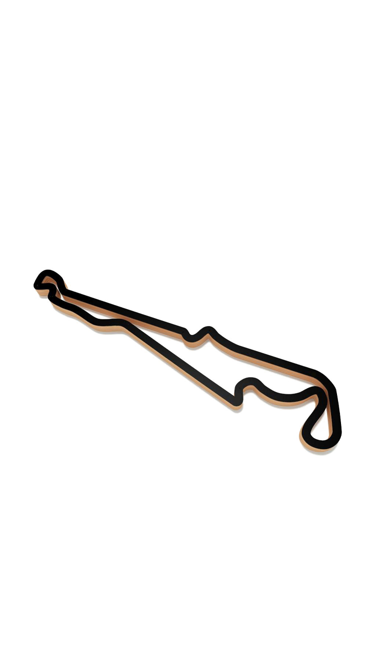 Track 15.png